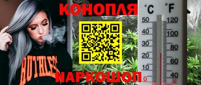 ГАЛЛЮЦИНОГЕННЫЕ ГРИБЫ Ставрополь