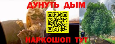 ГАЛЛЮЦИНОГЕННЫЕ ГРИБЫ Ставрополь