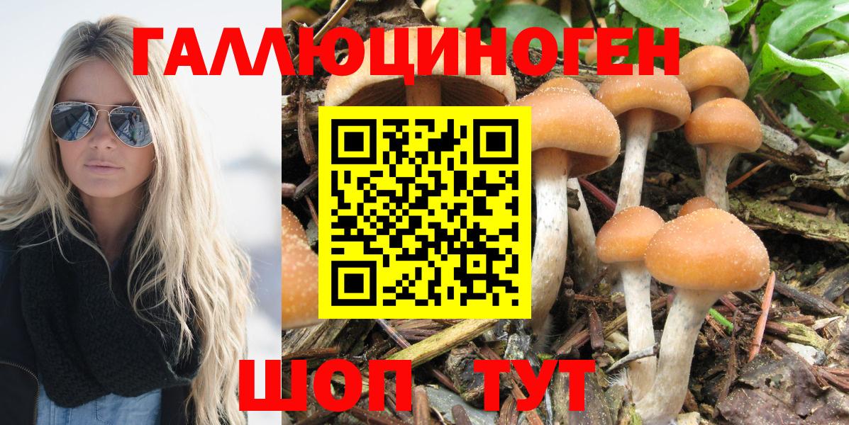 Галлюциногенные грибы мухоморы Богородск