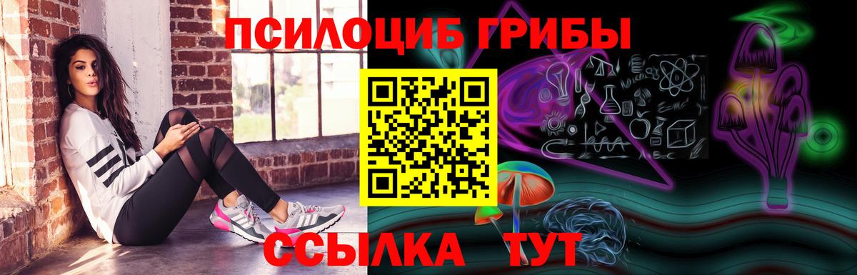 Псилоцибиновые грибы Psilocybine cubensis  Вход с VPN  Псилоцибиновые грибы Magic Shrooms  Богородск 